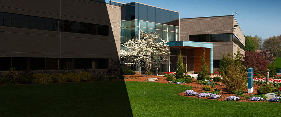 Ferndale Landscapers