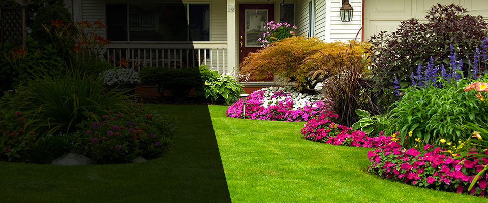 Ferndale Landscapers