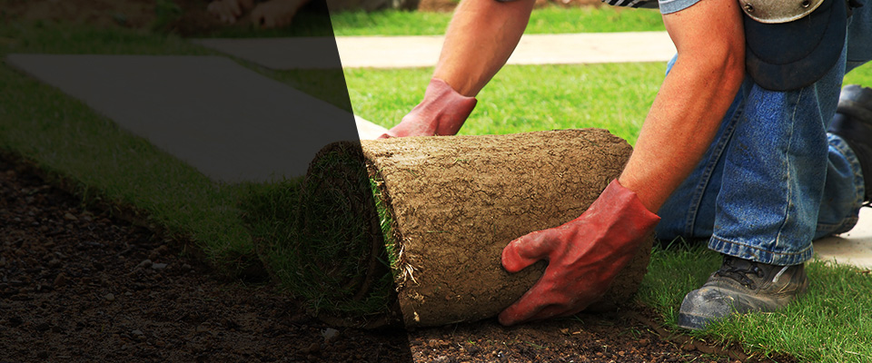 Ferndale Landscapers